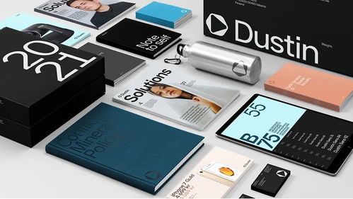 煥新視界，聚焦專業 Dustin信息技術服務公司視覺形象與攝影擴印服務的戰略升級