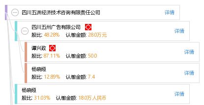 四川五洲經(jīng)濟(jì)技術(shù)咨詢有限責(zé)任公司 專業(yè)優(yōu)勢與技術(shù)咨詢服務(wù)
